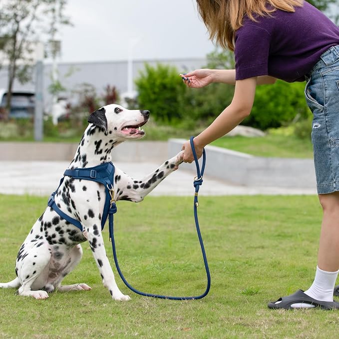 5FT Dog Leash Puppy Cat Rope Lead for Small Medium Large Dogs | Prussian Blue,with Anti-tangle Swivel Clip,Non-slip Grip Handle,Ideal for Daily Walks and Training - Image 7