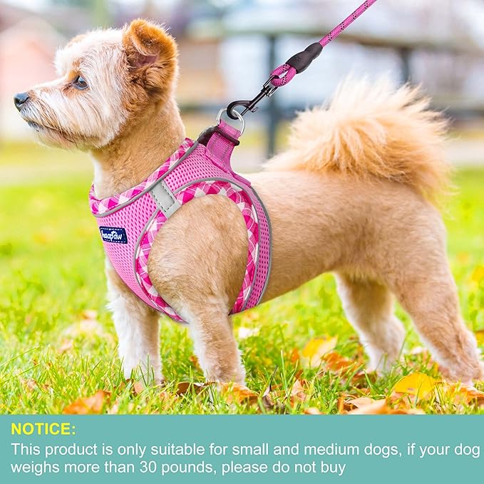 haapaw Dog Harness with Leash Set, No Pull Adjustable Reflective Step-in Puppy Harness with Thickened Padded Vest for Extra-Small/Small Medium Dogs - Image 4