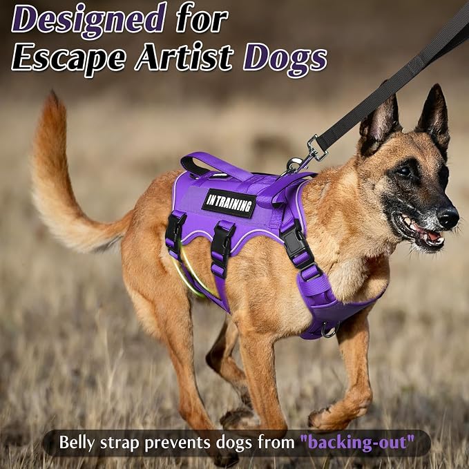 WINSEE Escape Proof Dog Harness with Double Handle+4 Removable Patches | Service Working Molle Harness with Double Handle for Large Dogs, Tactical Pet Reflective Vest for Walking Hiking Hunting - Image 2