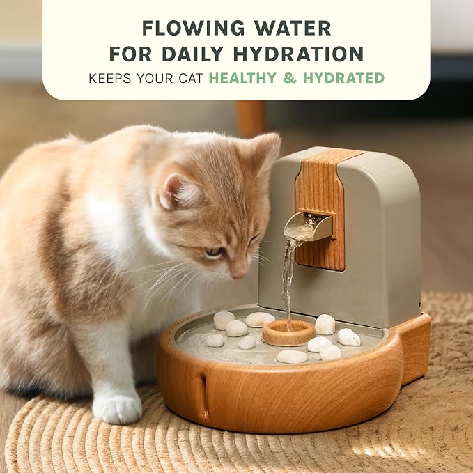 Cat Water Fountain – Eco-Friendly Zen Cat Fountain with Feng Shui Design, Splash-Free, Easy to Clean, Premium Filtration, Water Fountains for Cats Indoor, Great Cat - Image 8