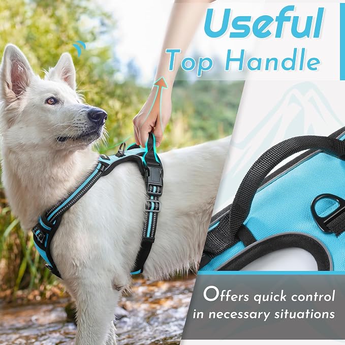 Eagloo Dog Harness for Large Dogs, No Pull Pet Vest with 2 Leash Clips | No Choke with Handle, Adjustable Comfort Fit, Reflective Strips, Easy Walking Control, Sky Blue, Large - Image 4