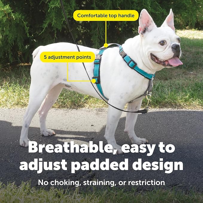 PetSafe 3 in 1 No-Pull Dog Harness - Walk, Train or Travel - Helps Prevent Pets from Pulling on Walks - Seatbelt Loop Doubles as Quick Access Handle - Reflective Accents - Small, Teal | Rests on Chest Not Throat to Reduce Pulling, 5 Adjustment Points, ... - Image 5