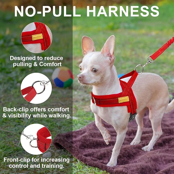 BEAUTYZOO Small Dog Harness and Leash Set, No Pull Step in Puppy Vest | Breathable Mesh with Handle, Reflective, Adjustable No Choke Escape Proof, Lightweight, Easy Control for Walking, Red XS - Image 6