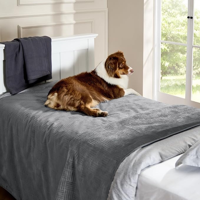 Bedsure Waterproof Couch Cover for Sofa and Dogs Quick Drying, 52x82IN | Waterproof Blanket Washable for Large Dogs Couch Sofa Bed Cozy, Lightweight Furniture Protector for Pet Cat, Ash Grey - Image 9