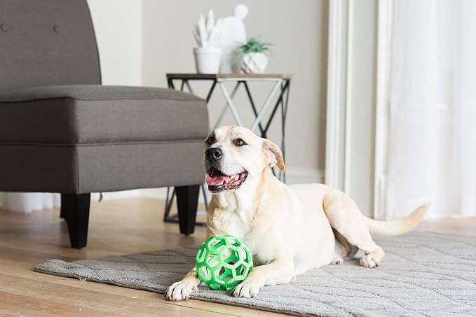 JW Pet HOL-ee Roller, Natural Rubber, Large 5.5in, Colors May Vary | Puzzle Ball Design Dog Toy for Interactive Play and Chasing Fun - Image 2