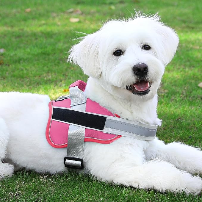 Dog Harness, No-Pull Reflective Dog Vest, Breathable Adjustable Pet Harness with Handle for Outdoor Walking - No More Pulling, Tugging or Choking (Fuchsia, X-Small (Pack of 1)) - Image 7