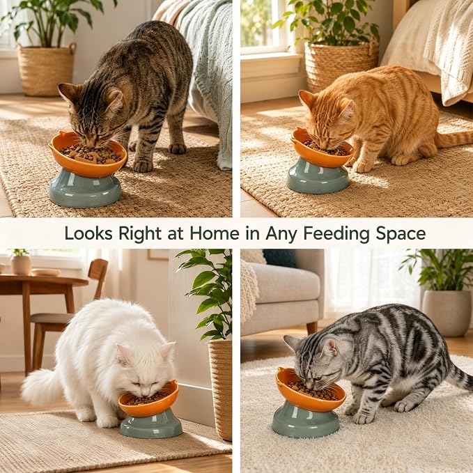 Ceramic Slow Feeder Cat Bowl, 15-Degree Tilted Non-Slip | Food-Grade Ceramic For Indoor Cats, 5.3 In Shallow Bowl, Whisker-Friendly, Dry And Wet Food, Dishwasher Safe - Image 8