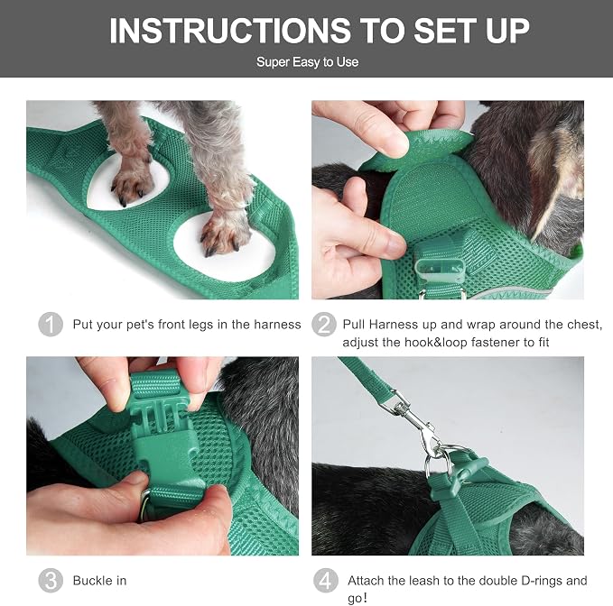 Fida Cat Harness and Leash Set for Walking Kitten and Puppy, Escape Proof Kitten Harness with Breathable Lightweight Soft Mesh, Adjustable Reflective Step-in Design. (XXXS, Green) - Image 5
