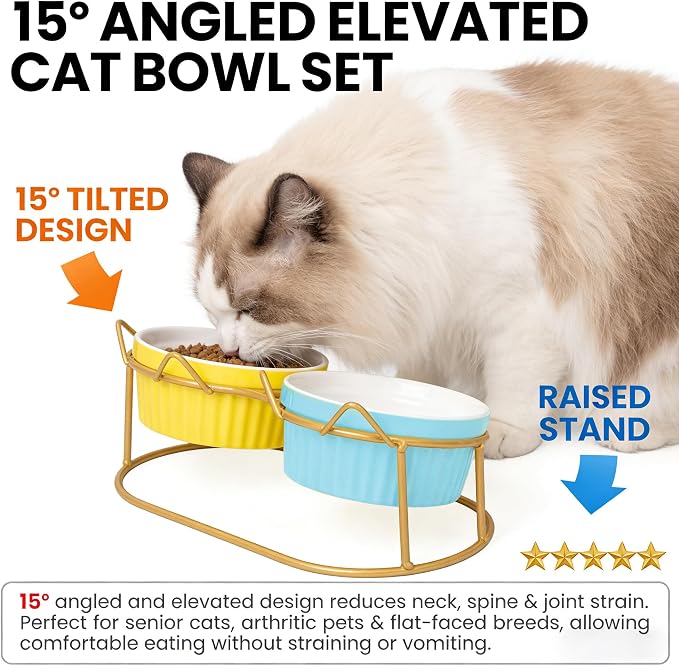 Ceramic Raised Tilted Cat Food Bowls Set - 15° Elevated Cat Food and Water Bowls for Indoor Cats/Kittens, Anti-Vomiting Pet Feeding Bowls (Non-Slip, BPA-Free) - Image 3