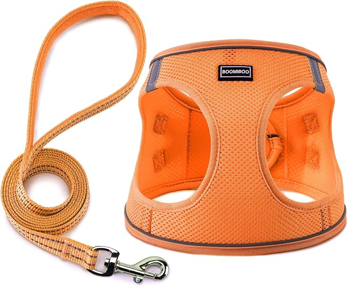 Dog Harness with Leash Set, Step-in Adjustable Puppy Pet Vest, Orange L | Lightweight Breathable Air Mesh, Night Safety Reflective, No Pull Puppy Vest Harnesses for Small Medium Large Dogs, Cats by BOOMIBOO
