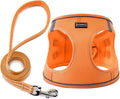 Dog Harness with Leash Set, Step-in Adjustable Puppy Pet Vest, Orange L | Lightweight Breathable Air Mesh, Night Safety Reflective, No Pull Puppy Vest Harnesses for Small Medium Large Dogs, Cats by BOOMIBOO