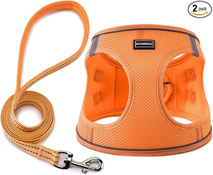 Dog Harness with Leash Set, Step-in Adjustable Puppy Pet Vest, Orange M | Lightweight Breathable Air Mesh, Night Safety Reflective, No Pull Puppy Vest Harnesses for Small Medium Large Dogs, Cats by BOOMIBOO