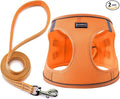 Dog Harness with Leash Set, Step-in Adjustable Puppy Pet Vest, Orange M | Lightweight Breathable Air Mesh, Night Safety Reflective, No Pull Puppy Vest Harnesses for Small Medium Large Dogs, Cats by BOOMIBOO