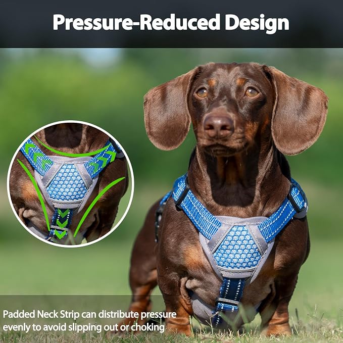 Escape Proof Dog Harness, Dachshund Harness, Reflective Dog Harness with Handle, Durable,Adjustable Vest for Small Medium Large Dogs Walking, Training, and Running Gear (Sea Blue,S) - Image 5