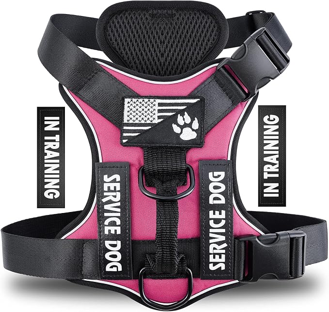 Service Dog Harness, Reflective Dog Vest Harness with 5 PCS Patches, Adjustable Soft Oxford Pet Harness, Inner Layer Mesh, Easy to Control for Dogs by DemigreatLLC