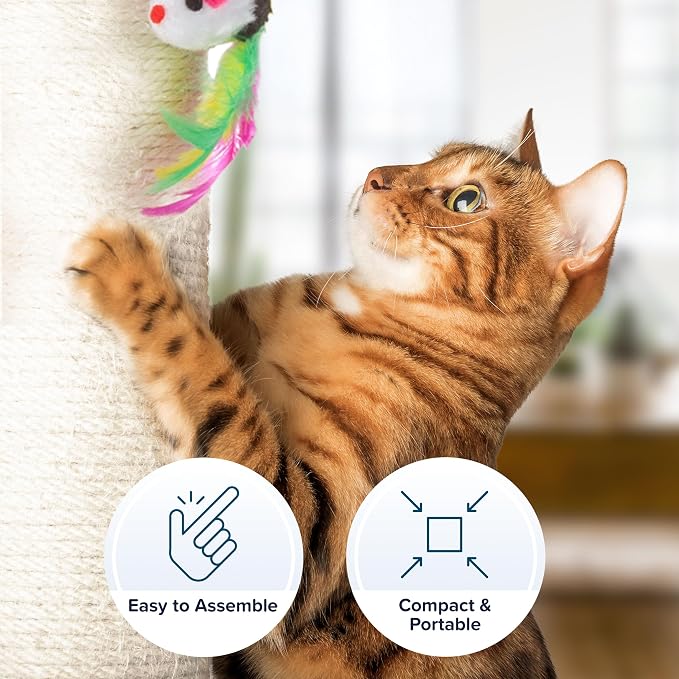 PETMAKER Cat Scratching Post - Tall Scratcher for Cats and Kittens with Sisal Rope and Carpet, Hanging Mouse Toy for Interactive Play (24.5 Inch) - Image 3