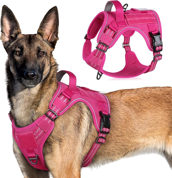 rabbitgoo Tactical Dog Harness for X-Large, No Pull Military Service Vest | Molle & Handle, Heavy Duty, Adjustable, Reflective Straps, Easy Control for Training Walking, Rose Red, X-Large by rabbitgoo