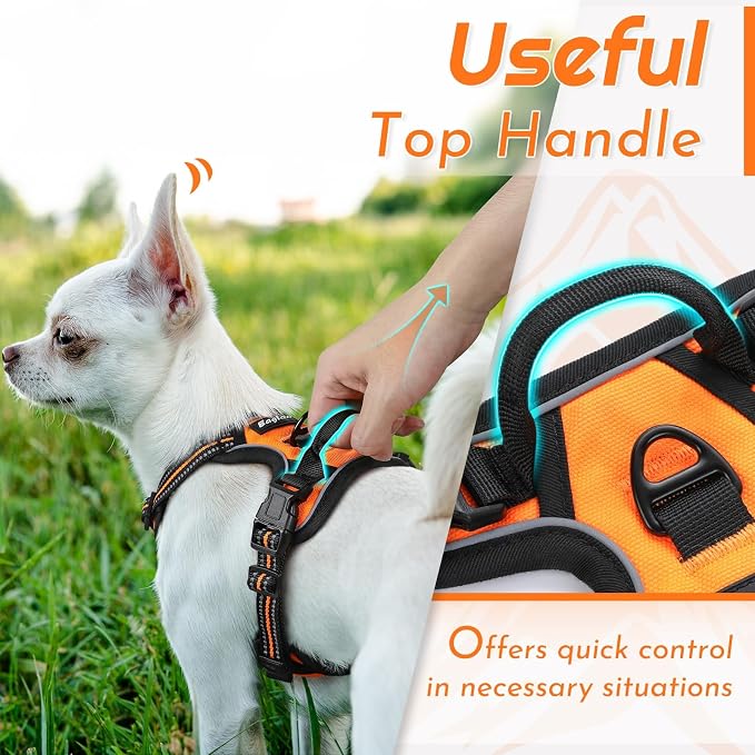 Eagloo Dog Harness for Small Dogs, No Pull Pet Vest with 2 Leash Clips | No Choke with Handle, Adjustable Comfort Fit, Reflective Strips, Easy Walking Control, Orange, X-Small - Image 5
