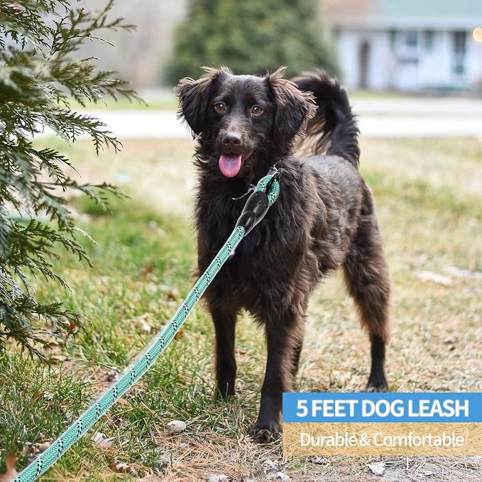 2/4/5/6 FT Dog Leash with Comfortable Padded Handle and Highly Reflective Threads for Small Medium and Large Dogs (5FT-1/2'', Turquoise) - Image 5