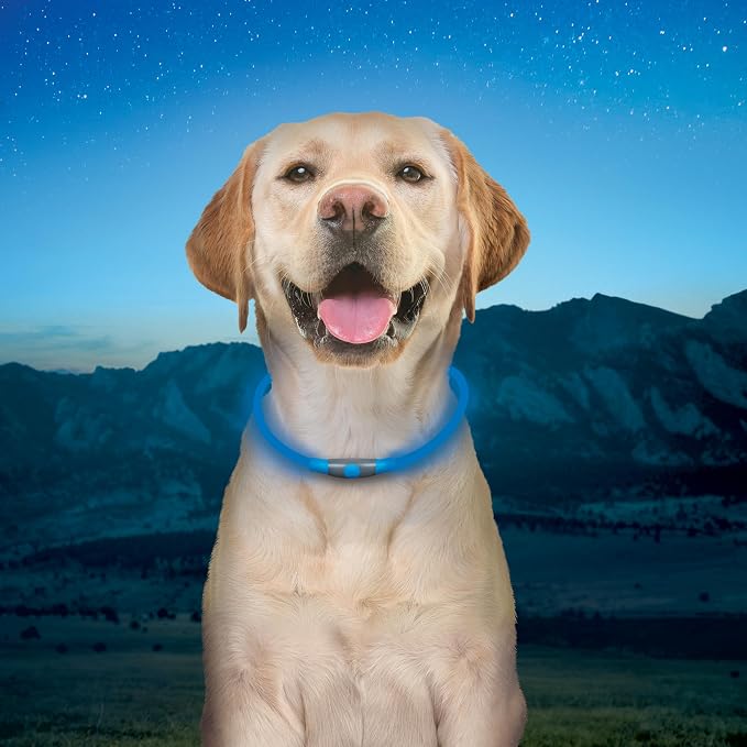 Nite Ize NiteHowl Rechargeable LED Safety Necklace - Dog Light for Dog-Walking Gear - Weather-Resistant Design - 5 Hours Runtime - Cut to Fit from 12” to 27” - Blue - Image 8