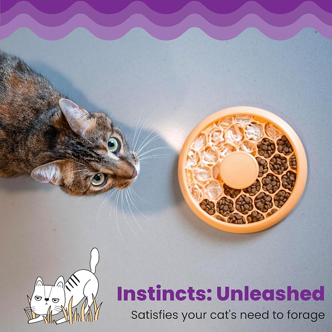 Catstages Slow Feeder Bowl & Treat Puzzle Cat Toy, Aids Digestion, 6.6" | Holds 1/2 Cup of Wet or Dry Food, 30 Treat Compartments, Non-Slip Base, Easy Clean, No BPA, Enrichment, Indoor Cats & Kittens - Image 5