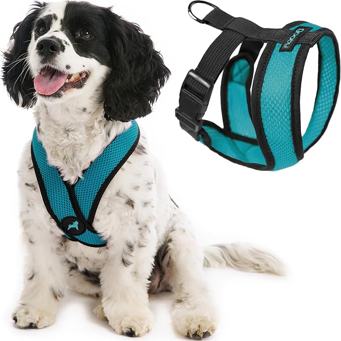 Gooby Comfort X Head-in Dog Harness, Choke-Free, Turquoise, Small | Patented choke-free X-frame; Secure head-in fit; Lightweight breathable mesh; Back metal D-ring; Machine washable by Gooby