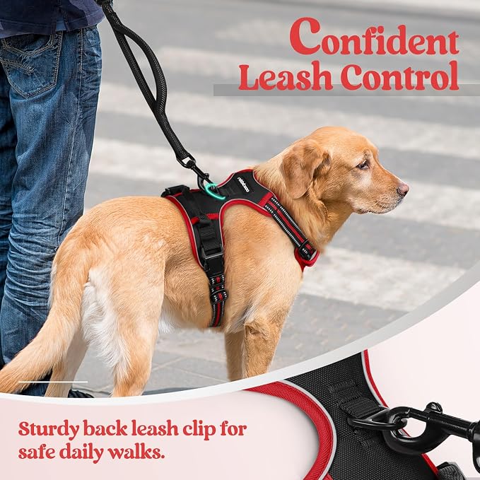 rabbitgoo Dog Harness, No Pull Medium Sized with 2 Leash Clips, Pet Vest | No Choke with Handle, Adjustable Soft Padded, Reflective, Easy Control for Walking, Black & Red, Medium - Image 6