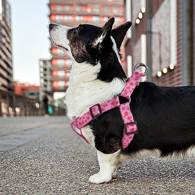 Dog Harness Leash Set Adjustable Heavy Duty No Pull Halter Harnesses for Small Medium Large Breed Dogs Back Clip Anti-Twist Perfect for Walking - Image 8