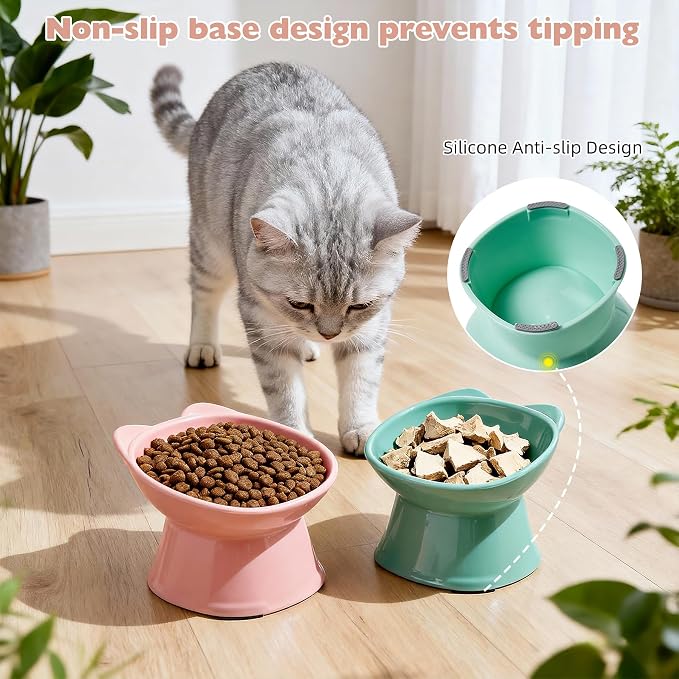 KSIA Klear Elevated Cat Bowls 2 Pack, Tilted Raised Cat Bowls for Indoor Cats, for Food and Water, 4.72" Wide, Whisker Friendly Anti Vomit for Indoor Cats, Microwave and Dishwasher Safe, Pink&Green - Image 6