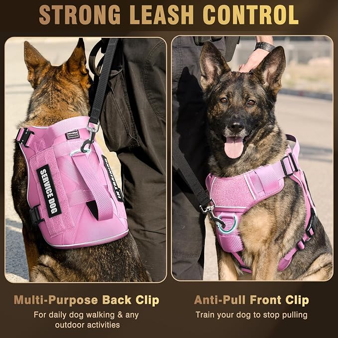 2X Metal Buckle Service Working MOLLE Dog Vest with 10 Pet Patches | Tactical Dog Harness for Large Dog, No-pull Military Working Vest for Training Hunting Walking，2x D Rings for Leash Clip - Image 7