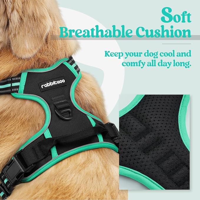 rabbitgoo Dog Harness, No Pull for Small Dogs with 2 Leash Clips, Pet Vest | No Choke with Handle, Adjustable Soft Padded, Reflective, Easy Control for Walking, Black & Turquoise, Small - Image 2