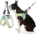 Gooby Simple Step-in III Dog Harness, Green, Medium | Slide-to-fit chest strap; Breathable inner mesh; Scratch-resistant outer; Quick-release buckle; Durable POM leash ring by Gooby