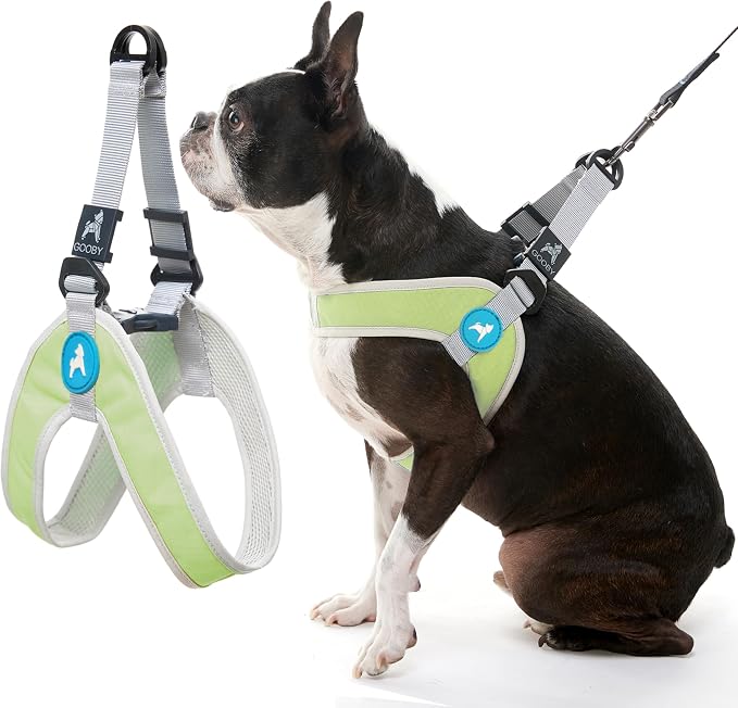 Gooby Simple Step-in III Dog Harness, Green, Medium | Slide-to-fit chest strap; Breathable inner mesh; Scratch-resistant outer; Quick-release buckle; Durable POM leash ring by Gooby
