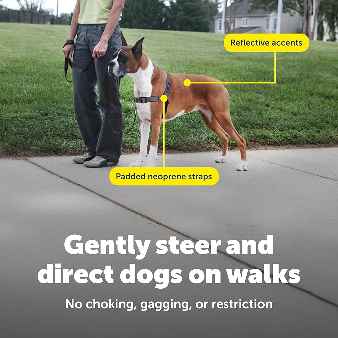 PetSafe Easy Walk Deluxe Dog Harness, No Pull Dog Harness – Perfect for Leash & Harness Training – Stops Pets from Pulling and Choking on Walks – Medium, Steel - Image 7