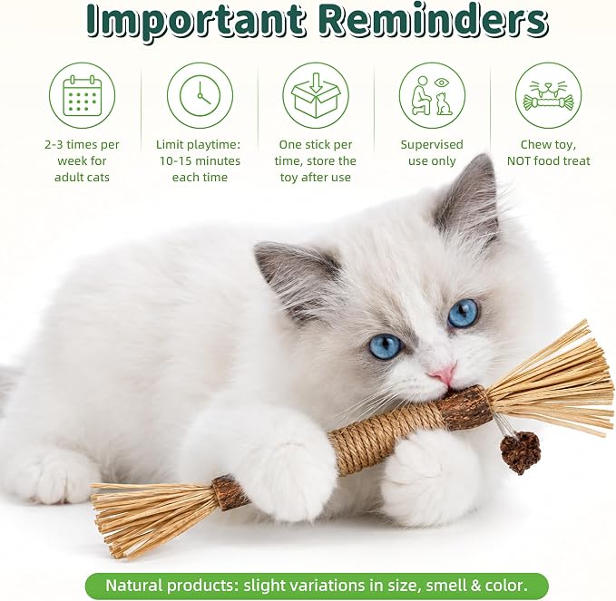 Silvervine Sticks Cat Chew Toys for Indoor Cats Dental Care Teeth Cleaning, Natural Kitten & Cat Teething Toys for Health, Cat Chew Stick Treat Edible Suitable for All Breeds of Aggressive Chewers Cat - Image 7