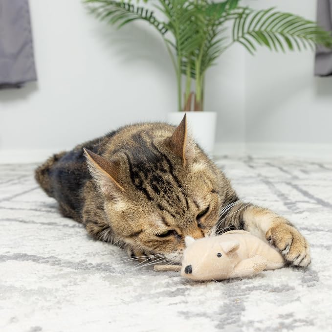 SPOT Flat Mouse Frankie with Catnip - Cat Toy, Fuzzy Mice with Catnip and Crinkle Sound, Perfect Size for Pouncing on, Chasing, Hunting - 5.5in Plush Toys, Assorted Colors - Image 6
