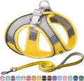 AIITLE Medium Dog Harness and Leash Set, Step-in Puppy Pet Vest, Yellow M | Breathable Mesh, Adjustable Fit, Reflective Design, Padded Leash Handle, for Small-Medium Dogs & Cats, Walking, Training by AIITLE-FORPETSBETTERLIFE