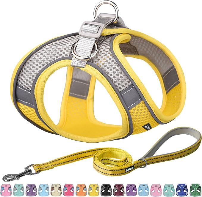 AIITLE Small Dog Harness and Leash Set, Step-in Puppy Pet Vest, Yellow XXS | Breathable Mesh, Adjustable Fit, Reflective Design, Padded Leash Handle, for Small-Medium Dogs & Cats, Walking, Training by AIITLE-FORPETSBETTERLIFE