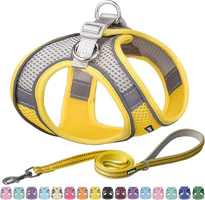 AIITLE Small Dog Harness and Leash Set, Step-in Puppy Pet Vest, Yellow XXXS | Light, Soft, Breathable Air Mesh, Escape-Proof, Easy on and Remove with Hook & Loop, Secure Reflective for Walking by AIITLE-FORPETSBETTERLIFE
