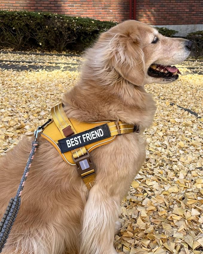 AUROTH Dog Harness and Leash Set for Large Sized Dog, No Pull Dog Vest | with Leash Clips, LED light clip, Soft Padded No Choke, Escape Proof, Easy Walking and Training, Turmeric-, XL - Image 2