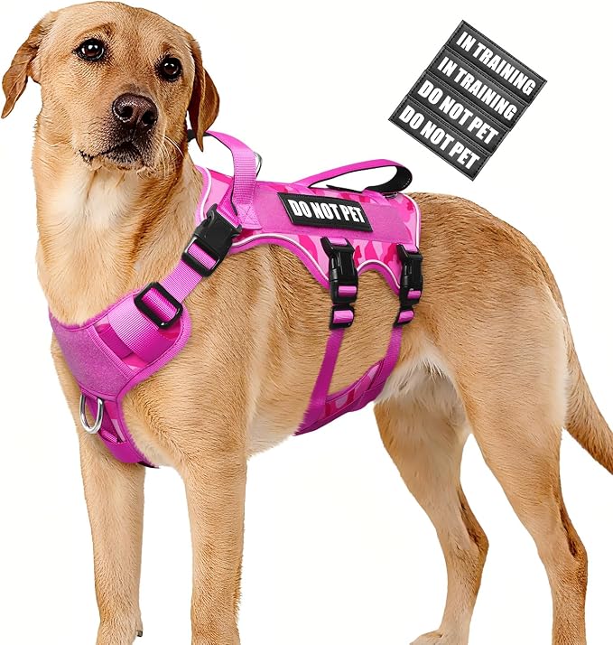 WINSEE Escape Proof Dog Harness with Double Handle+4 Removable Patches | Service Working Molle Harness with Double Handle for Large Dogs, Tactical Pet Reflective Vest for Walking Hiking Hunting by WINSEE
