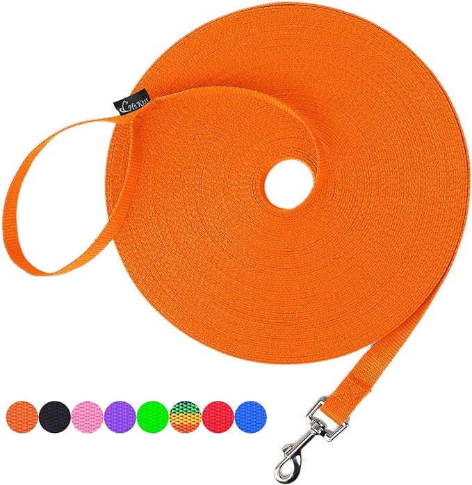 Hi Kiss Dog/Puppy Obedience Recall Training Agility Lead - 15ft 20ft 30ft 50ft 100ft Leash - Great for Play, Camping, or Backyard - Orange by HiKiss