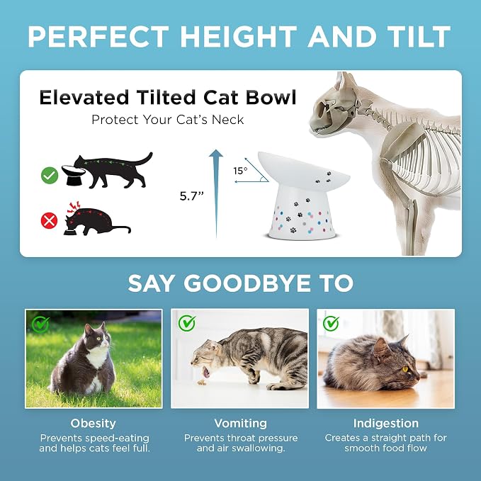 Necoichi Ceramic Elevated Food Bowl, 15° (Colorful Dots, Extra Wide Tilted) - Image 5