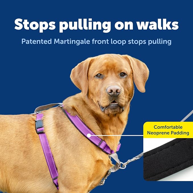 PetSafe 3 in 1 Harness - Fully Adjustable No-Pull Dog Harness - From the Makers of the Easy Walk Harness - Large, Plum | Rests on Chest Not Throat to Reduce Pulling, 5 Adjustment Points, Car Restraint Seatbelt Loop, Reflective Nylon for Low Light - Image 3