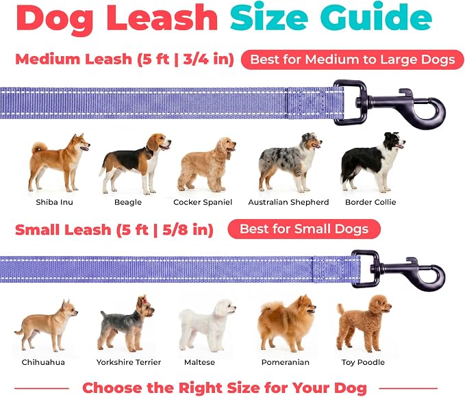 Best Pet Supplies Voyager Nylon Dog Leash - Lavender, Medium | 5ft in Length, 3/4" in Width, Reflective, Soft Neoprene Handle, Heavy Duty Metal Clips for Running, Walking & Training - Image 6
