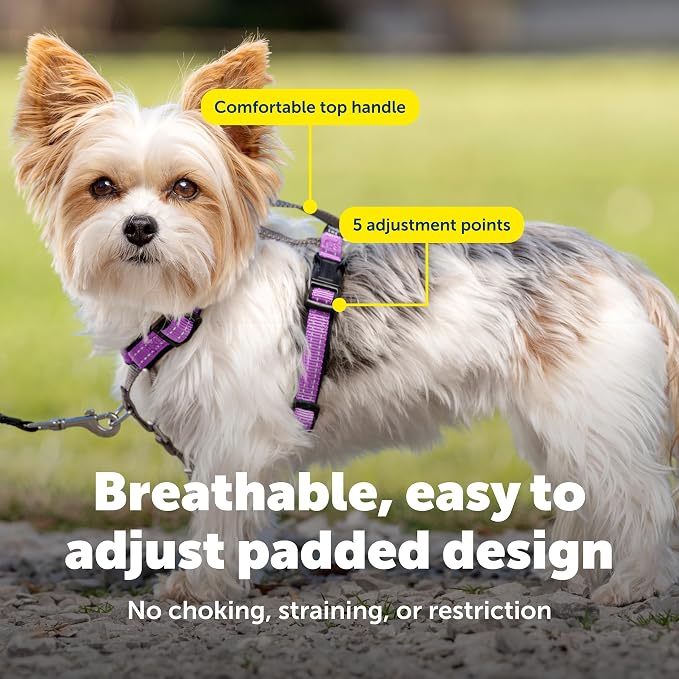 PetSafe 3 in 1 Dog Harness - No Pull Solution for Dogs - Reflective Dog Harness - Front D-Ring Clip Helps Stop Pulling - Comfortable Padded Straps - Top Handle Enhances Control - Plum - Extra Small - Image 4