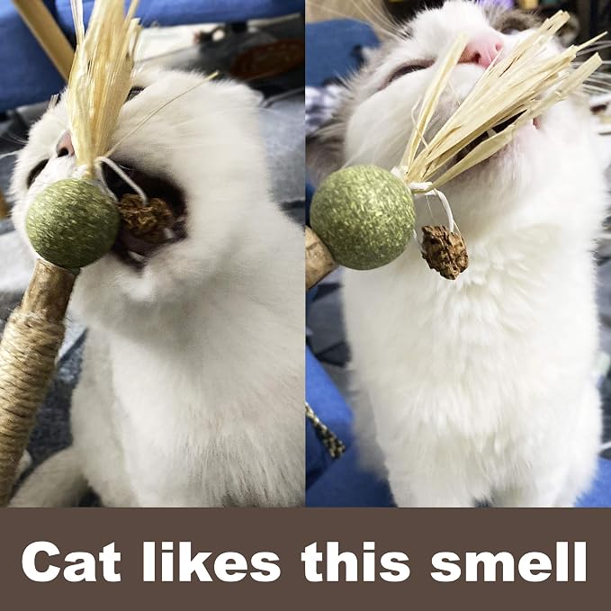 PAZ'S GIFT Catnip Toy Cat Toys Catnip Toy cat chew Toy cat Kicking silvervine Stick Teeth Cleaning Cute Kitten Teething Indoor Interactivecat Dental Care Matatabi (Catnip Balls) - Image 7