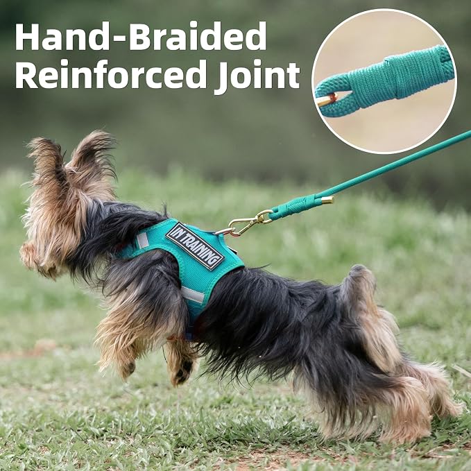 5FT Dog Leash 5/16 inch Puppy Cat Rope Lead | Marrs Green, with Anti-tangle Swivel Clip, Comfortable Non-slip Grip Handle, Ideal for Daily Walks, for Small Medium Dogs - Image 3