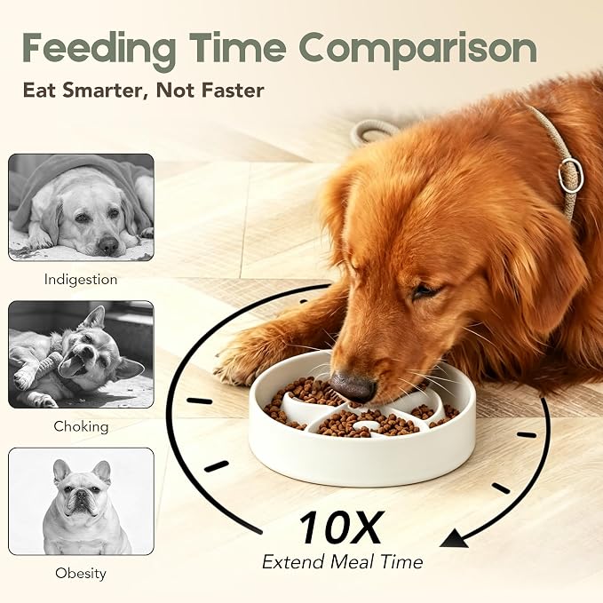 Ceramic Slow Feeder Dog Bowl, Dog Bowls 1.5 Cup Slow Feeding Bowl, Anti -Slip Pet Food Dish for Small and Medium Breed, Puzzle Dog Food Bowl for Fast Eater（White） - Image 3
