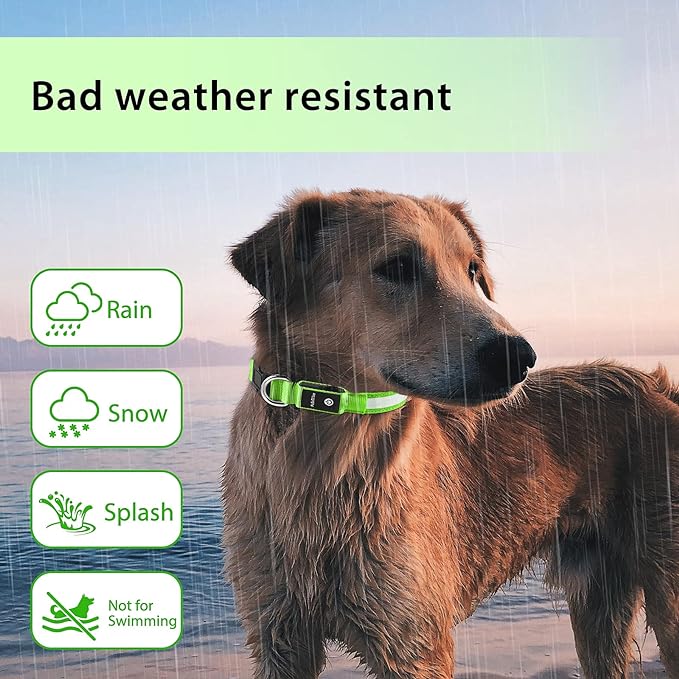 PcEoTllar Light up Dog Collar, Safe for Night Walking, Adjustable, Green, L | Colorful RGB Light, Waterproof, For Small Medium and Large Dogs, Durable Material, USB to Charge - Image 5